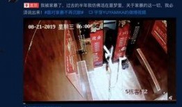 揭秘爆料博主视频大全集,视频大全集深度解析