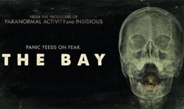 恐怖海湾在线观看,惊悚悬疑，在线惊悚之夜