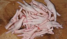 鸡爪养殖爆料视频播放下载,爆款视频播放下载背后的养殖秘密