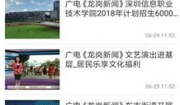 龙岗爆料新闻事件视频,最新事件视频曝光，真相究竟如何？